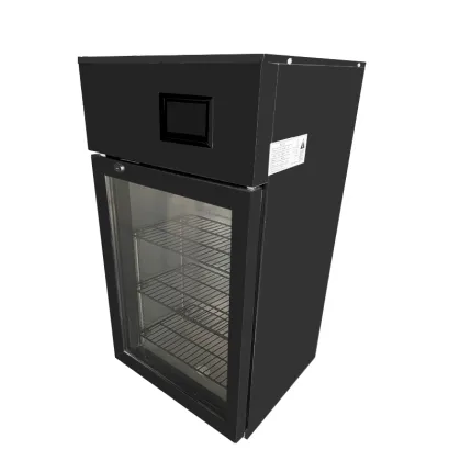Auto Control Temperature Yogurt Fermentation Cabinet
