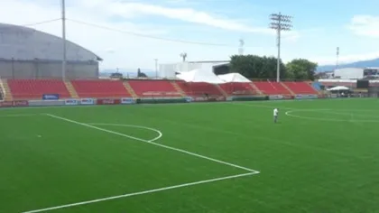 Stadium artificial grass 