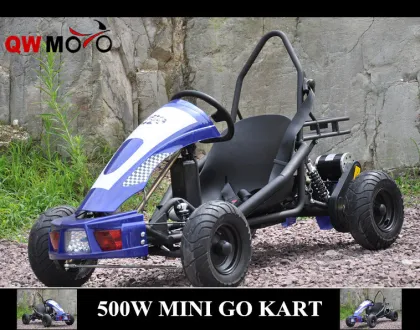 QWMOTO CE 800W Go Kart for childern use Only 36V 800W Electric Buggy Go Kart Mini Racing go kart