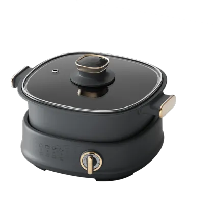 Steeleess Kitchen Appliances: New Multifunctional Electric Cooking Pot