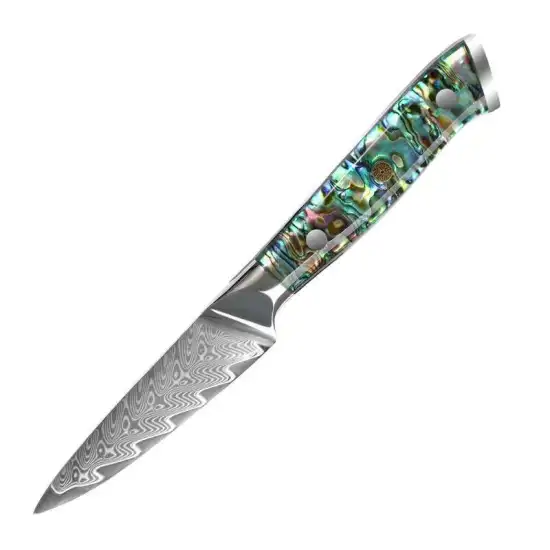 Professional 67 Layers VG10 Damascus Paring Knife - 3.5 Inch Abalone Handle