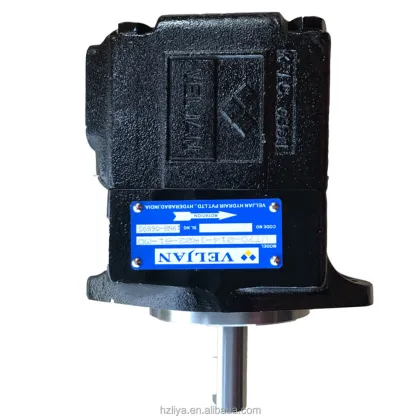 Double Oil Pump Viking Vane Pump VT6C Series