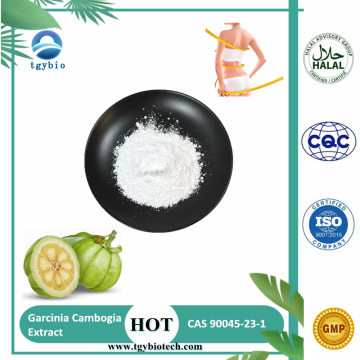 Berat Badan 50% HCA Garcinia Cambogia Extract Powder