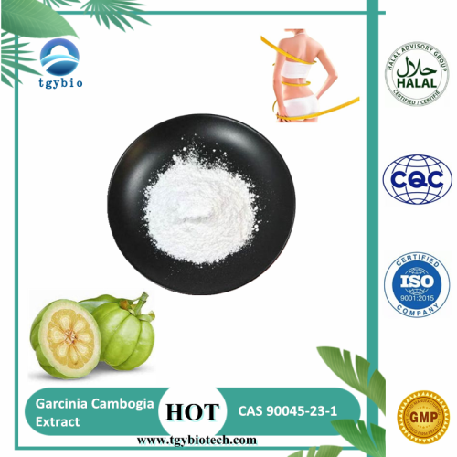 China Weight Loss 50% HCA Garcinia Cambogia Extract Powder Factory