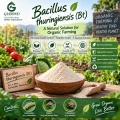 Bacillus thuringiensis (Bt) مسحوق مبيد حشري ميكروبي للزراعة