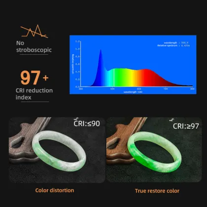 LIEQI 150W COB Light Source Studio Lighting for Photography