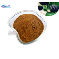 Phellinus Linteus Powder Dried Phellinus Linteus Mushroom