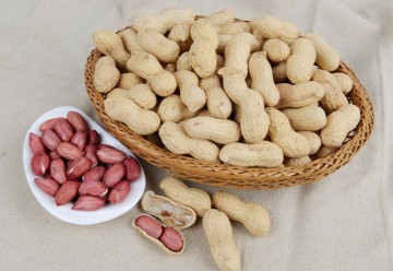 High Quality of Peanut Inshell Peanut Kernel (Type 333)