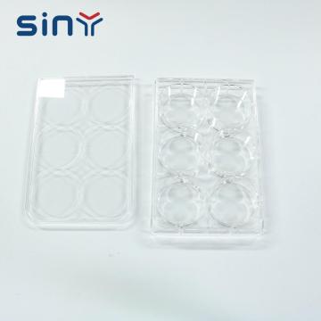 48 Well Cell Culture Series Plate