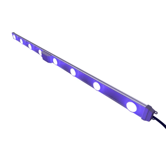 Energy-Efficient Grow Light for Full-Cycle Wormwood and Succulent Ornamental Plants