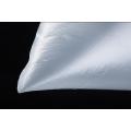 Clear HDPE Large Plastic Bag