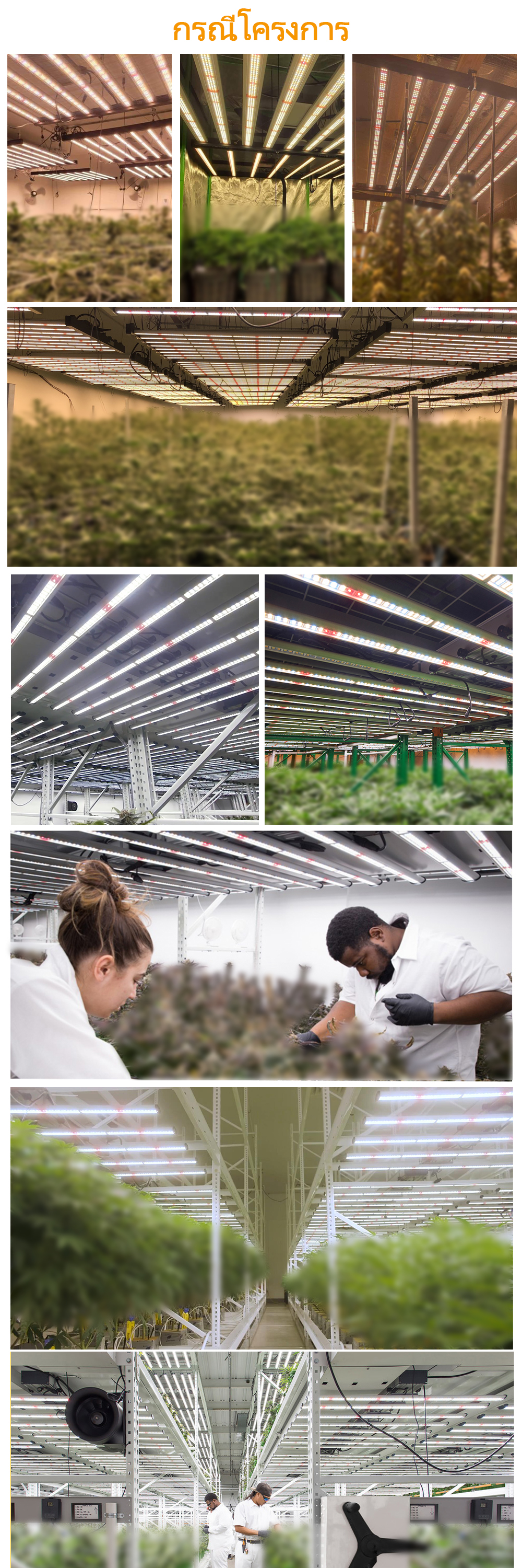 Wholesale 640w Led Gorw Light for Farming