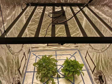 Full Spectrum LED Grow Light 640W 1000W Dimmable