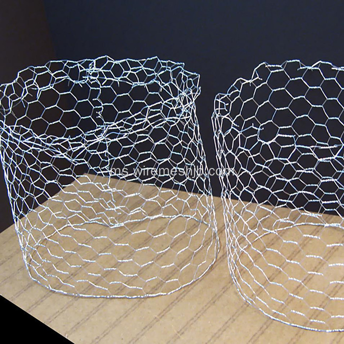 Galvanized Hexagonal Wire Netting untuk Membuat Covers