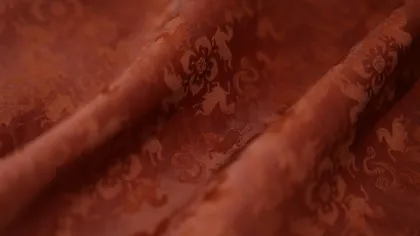 Opening of the Western Regions Mulberry Silk