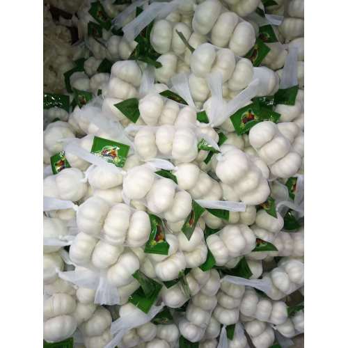 3P PURE WHITE GARLIC MESH BAG