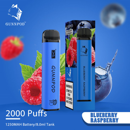 Gunnpod 2000 Puffs Disposable Vape E Cigarettes