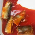 Mackerel Fish In Canned With Tomato Sauce