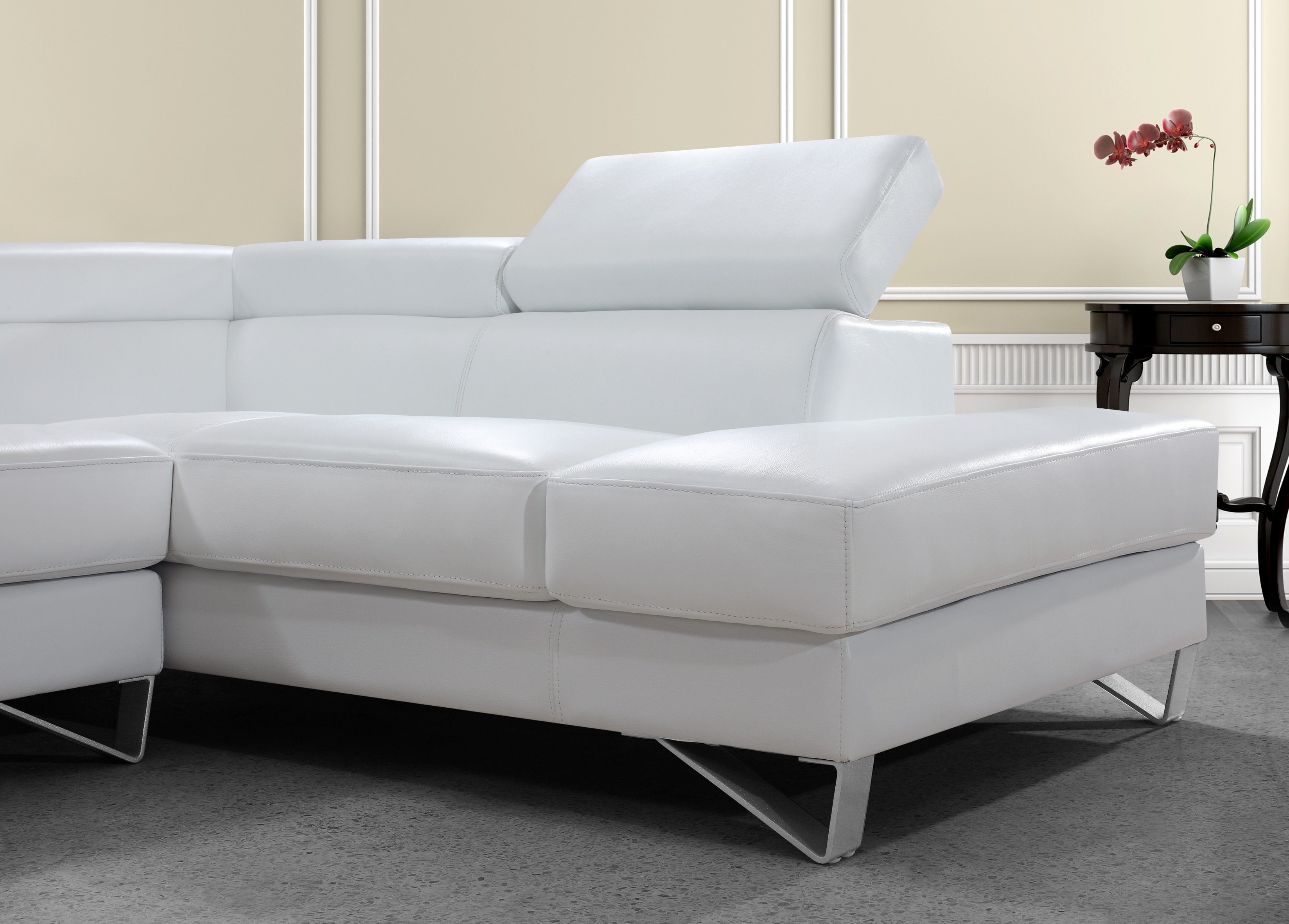 Leather Modern Sectional Sofa