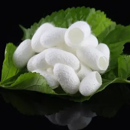 Silk Fibroin Silk Protein Powder 90% Water Soluble