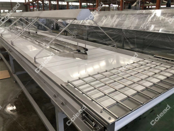 Palm dates selection conveyor with light