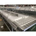 Palm dates selection conveyor with light