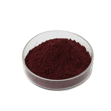 organic grape seed extract powder