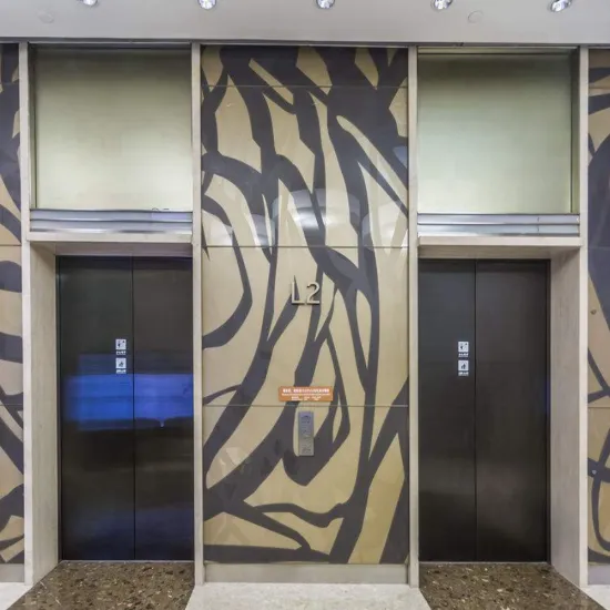 Energy-saving Environment-friendly Passenger Elevator