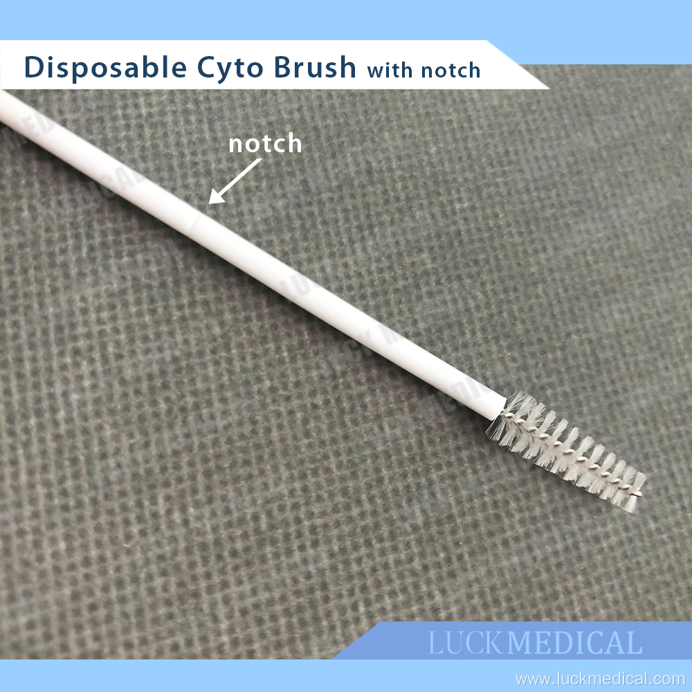 Disposable Cyto Brush with Notch