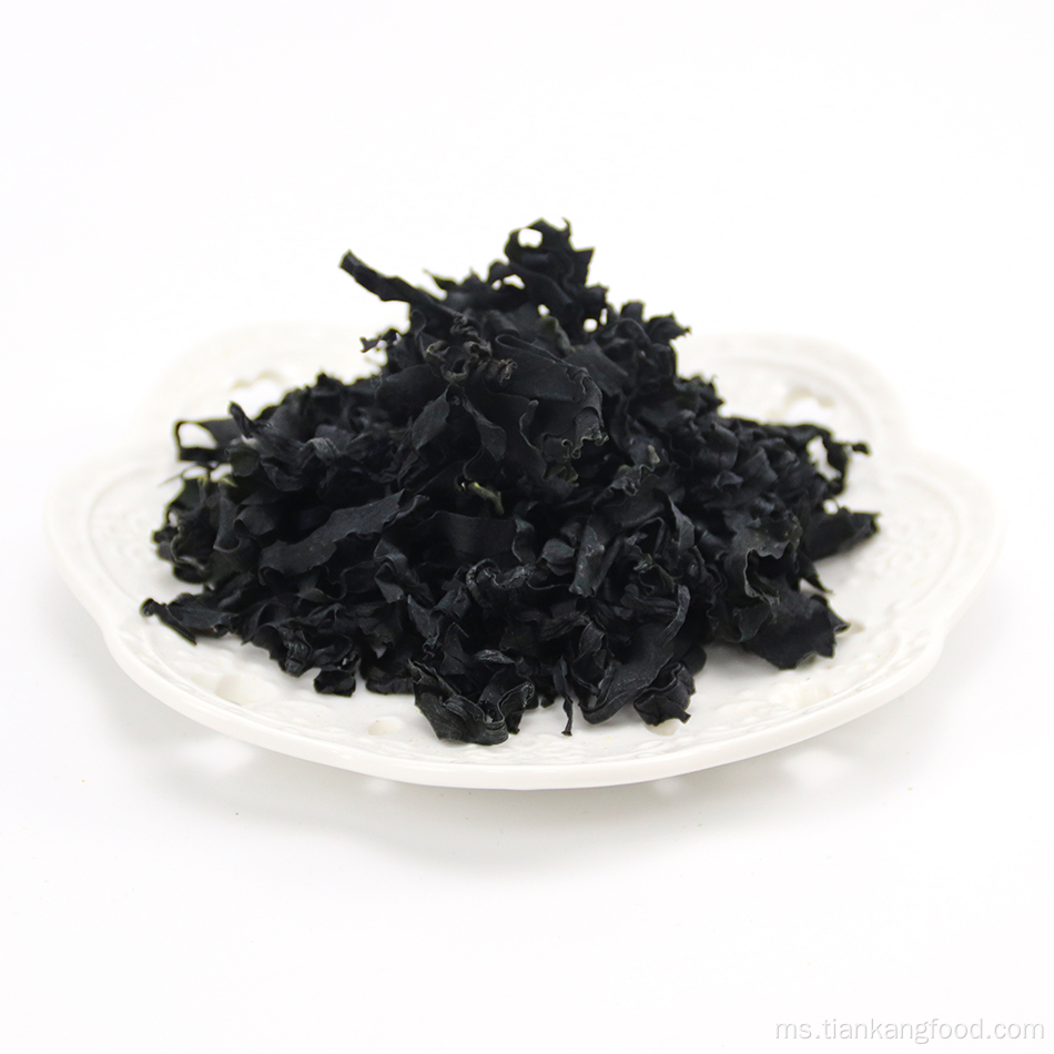 Wakame Nori Rumput Rumput Rumput Nori kering