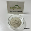 Microbial Rennet chymosin for cheese kluyveramises Rennet