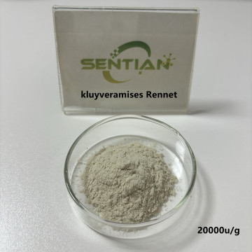 Microbial Rennet chymosin for cheese kluyveramises Rennet