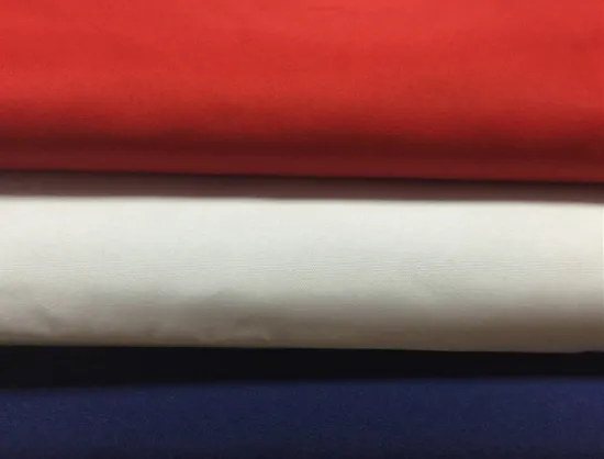 Whtextile Full-dull Polyester Taffeta