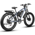 MX02S Electric Fat ποδήλατο