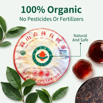 Forest-grown Organic Ancient Tree Ripened Pu'er Tea