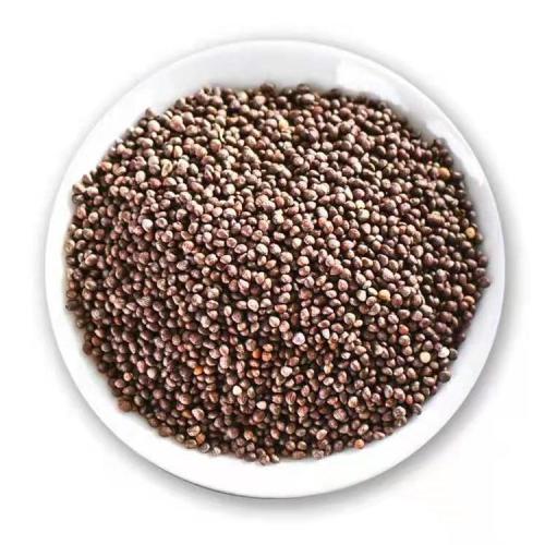 Wholesale Top Quality Perilla Seed Extract Powder