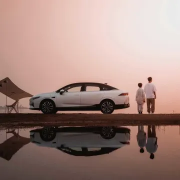 Fully Enclosed Lithium Battery 4-Wheel Electric Car Manufactured in China in 2023 with Low Price Used Cars