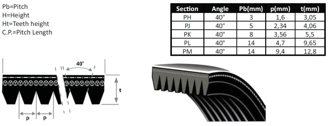 POLY V BELT (3)