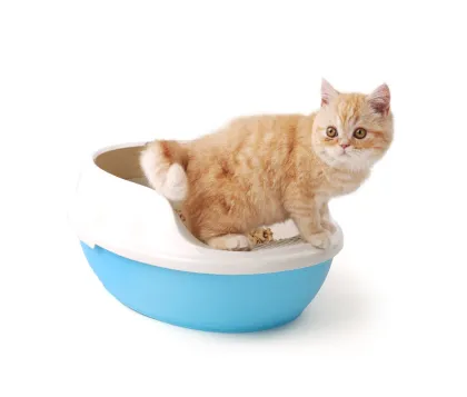 Cats like best Cat Litter Box Cat Toilet