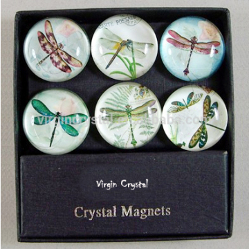 Wholesale 3D glass crystal fridge magnet with dragonfly for home decoration / souvenir gift