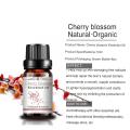 Cherry Blossoms Oil Natural Aromatherapy Pure Fragrance Perfume