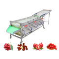 Precio de la máquina de clasificación de clasificación de fruta OEM