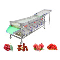 OEM Fruit Grading Machine Tri Machine Machine