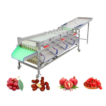 Preço da máquina de classificação de máquinas de classificação de frutas OEM