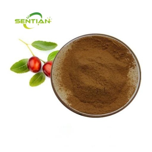 Red Jujube Extract Ziziphus Jujube Extract Jujubosides 2%