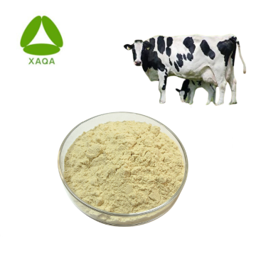 Active immunoglobulin Bovine Colostrums Freeze-dried Powder