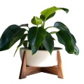 /msite/products/detail/productid/59812017/id/676039.html