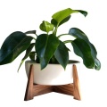 Indoor and outdoor standing Planter Holder stand