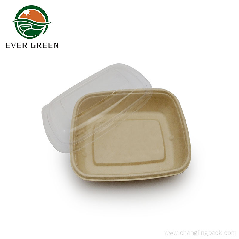 Biodegradable Disposable Rectangle Bagasse Pulp Food Box