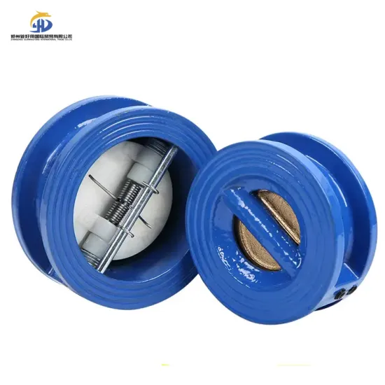 Stainless Steel Double Disc Butterfly Check Valve